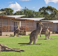 Discovery Parks  Pambula Beach - Sydney Tourism