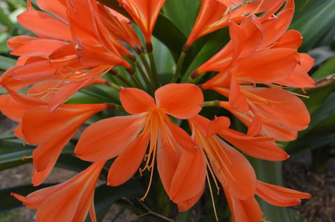 JE Guesthouse, Central To All The Hunter Valley Has To Offer - Sydney Tourism 39