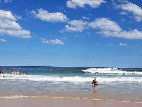 Arena Luxury Beachfront Apartment - Sydney Tourism 3
