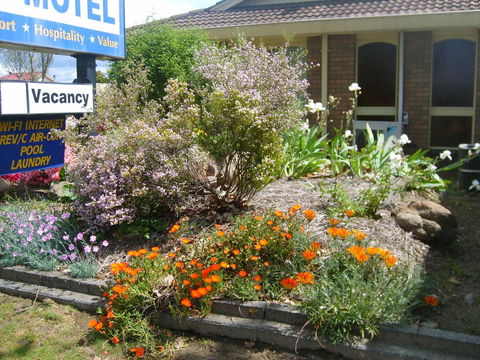 Albury City Motel - Sydney Tourism 29