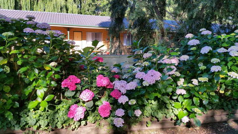 Moruya Motel - Sydney Tourism 28