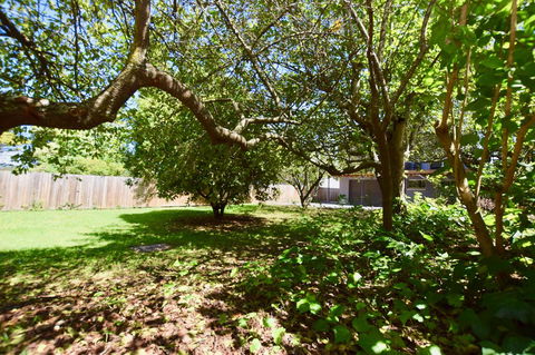 Wildlife Lodge Katoomba - Sydney Tourism 26