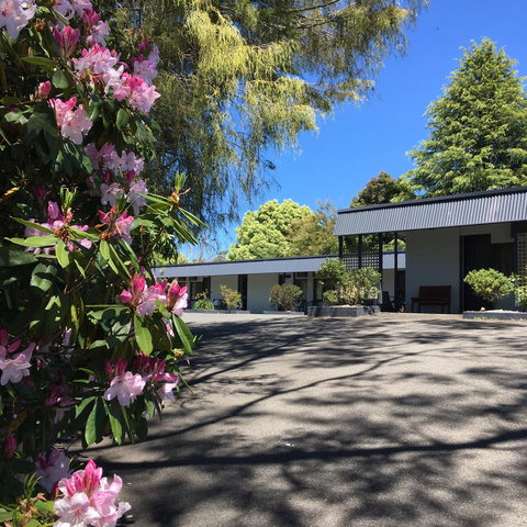 Sky Rider Motor Inn - Sydney Tourism 14