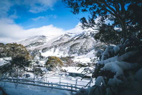 Pure Chalet Thredbo - Sydney Tourism 31