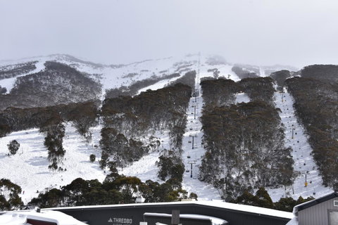 Pure Chalet Thredbo - Sydney Tourism 6