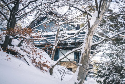 Pure Chalet Thredbo - Sydney Tourism 27