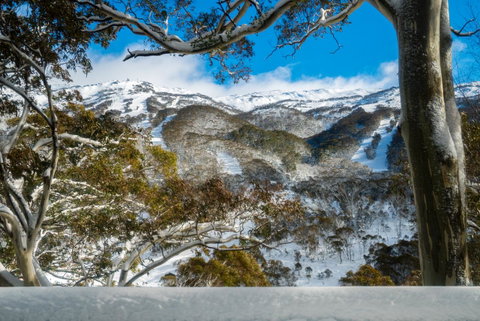 Pure Chalet Thredbo - Sydney Tourism 17