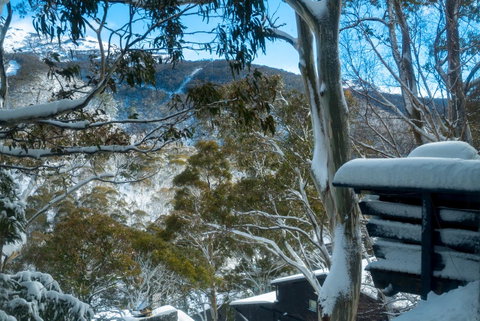 Pure Chalet Thredbo - Sydney Tourism 30