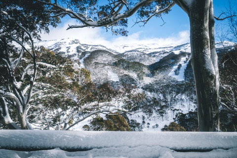 Pure Chalet Thredbo - Sydney Tourism 2