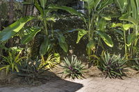 Book Stuart Park Accommodation Vacations Sydney Tourism Sydney Tourism