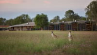 Book Point Stuart Accommodation Vacations Sydney Tourism Sydney Tourism