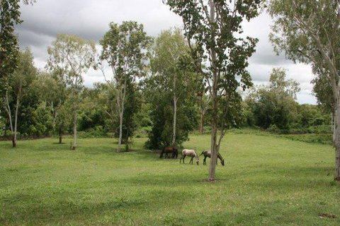 Mount Bundy Station - Sydney Tourism 25