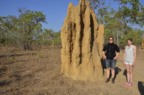 Mount Bundy Station - Sydney Tourism 44