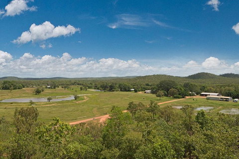 Mount Bundy Station - Sydney Tourism 2