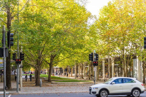 Highgate Executive Apartment City Walk Canberra - Sydney Tourism 37