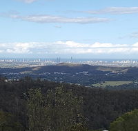 Bottletree Gardens - Mini Manson Blue - Sydney Tourism