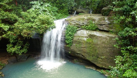 Buderim Forest Hideaway - Sydney Tourism 0