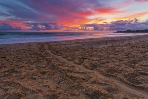 Bundaberg Park Village - Sydney Tourism 2