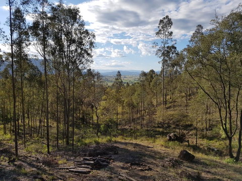 Bundera Lodge - Sydney Tourism 2