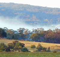 Candlebark Retreat - Sydney Tourism