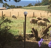 Cape View B and B - Sydney Tourism