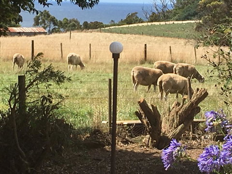 Cape View B And B - Sydney Tourism 0