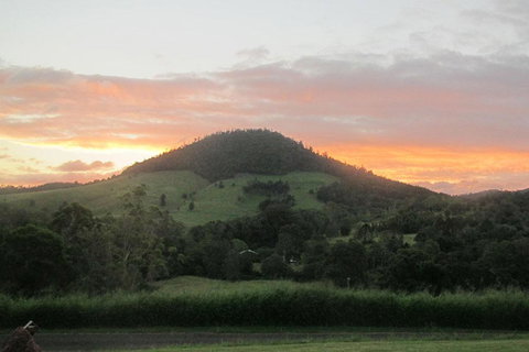 CBR Equine Cottage - Sydney Tourism 1
