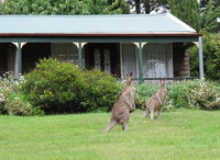 Book Mount Victoria Accommodation Vacations Sydney Tourism Sydney Tourism