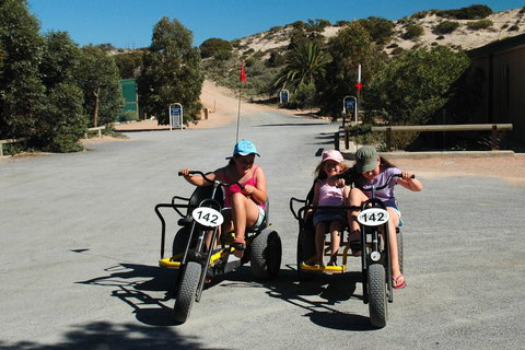 Ceduna Shelly Beach Caravan Park - Sydney Tourism 1