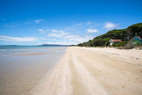 Charlie's Place: Tyrone Beach At End Of Street - Sydney Tourism 1