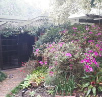 Charming country house close to Grafton - Sydney Tourism