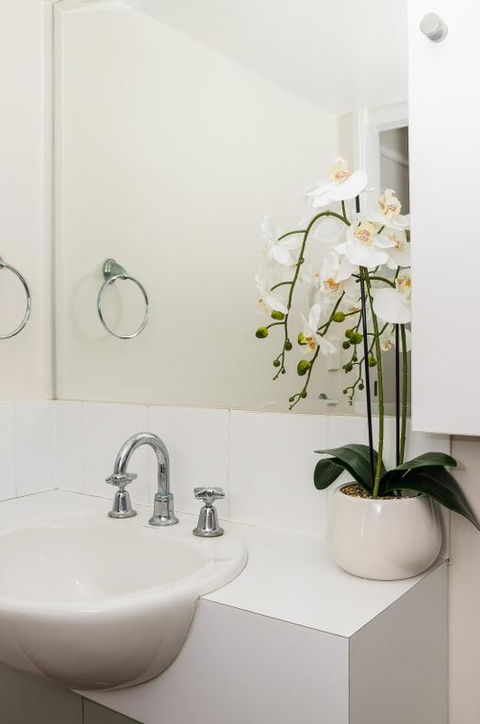 City Stadium Apartment On The Riverfront - Sydney Tourism 3
