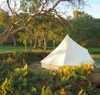 Coonawarra Bush Holiday Park - Sydney Tourism