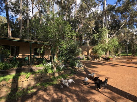 Country Cottages Of Bridgetown - Sydney Tourism 1