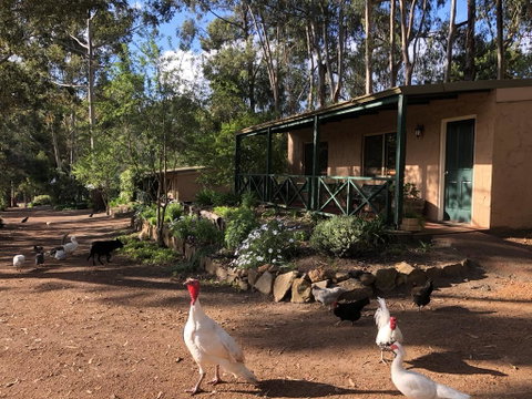 Country Cottages Of Bridgetown - Sydney Tourism 0