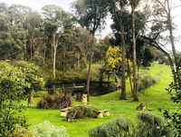 Countryside Retreat Intimate Studio Hepburn - Daylesford