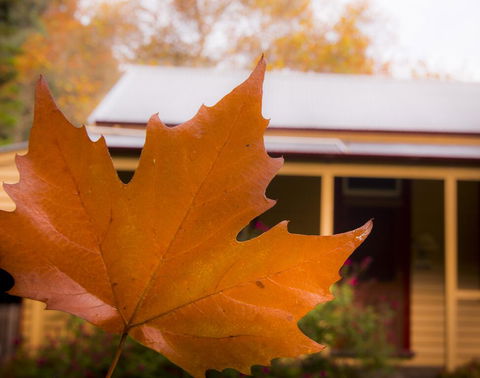 Creek Cottage - Sydney Tourism 3