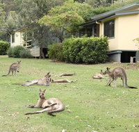 Depot Beach Cabins - Sydney Tourism