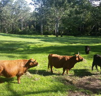 Dingley Dell - Sydney Tourism