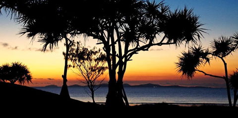 Driftwood Motel And Holiday Units - Sydney Tourism 2