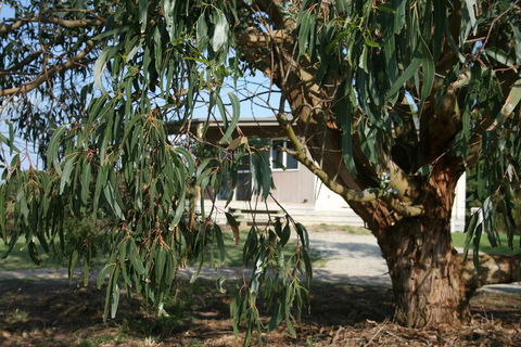 Driftwood Villas - Sydney Tourism 3