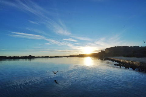 Eagle Bay Cottage - Sydney Tourism 1