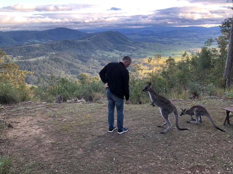 Eagleview Resort - Sydney Tourism 2