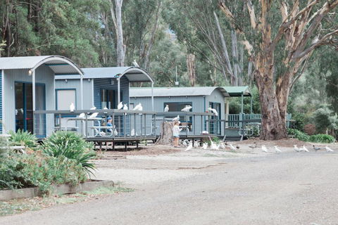 Eildon Pondage Holiday Park - Sydney Tourism 3