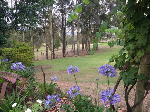 Elfin Hill Vineyard Accommodation - Sydney Tourism 2