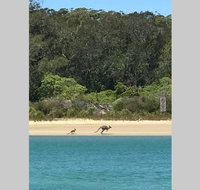 FAIRVIEW COTTAGE 25B - Waterfront accommodation - Sydney Tourism