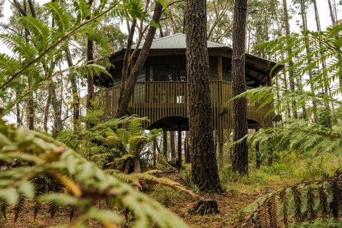 Federation Gardens & Possums Hideaway - Sydney Tourism 2
