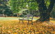 Federation Gardens & Possums Hideaway - thumb 1