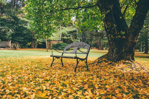 Federation Gardens & Possums Hideaway - Sydney Tourism 1