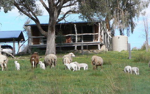 Gaddleen Grove Cottages - Sydney Tourism 0